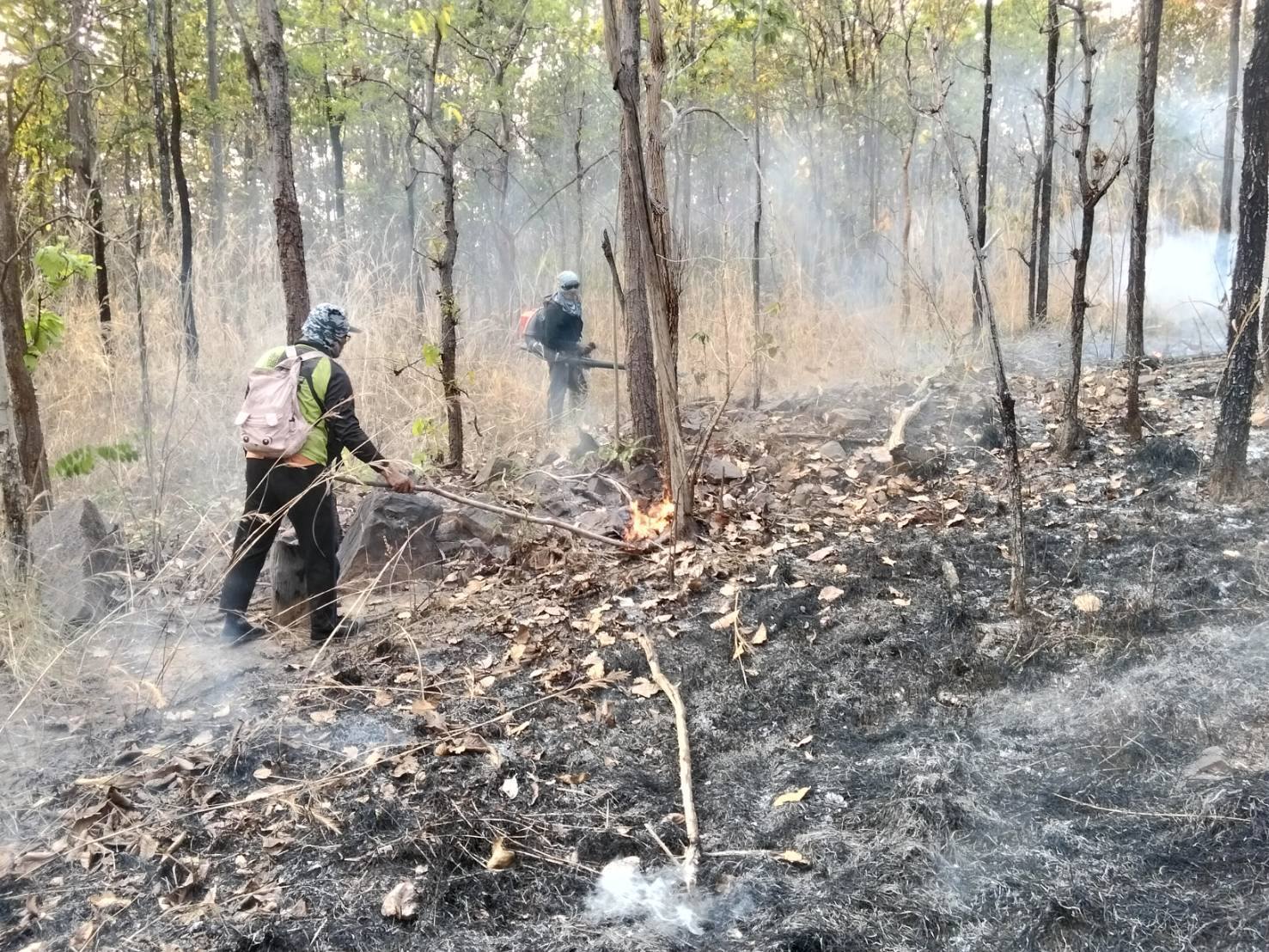 สถานการณ์ฝุ่น PM2.5 ในพื้นที่จังหวัดพะเยายังคงเกินเกณฑ์มาตรฐานต่อเนื่อง ด้านสาธารณสุขจังหวัดแจ้งเตือนประชาชนงดกิจกรรมกลางแจ้งและสวมหน้ากากป้องกันทุกครั้ง