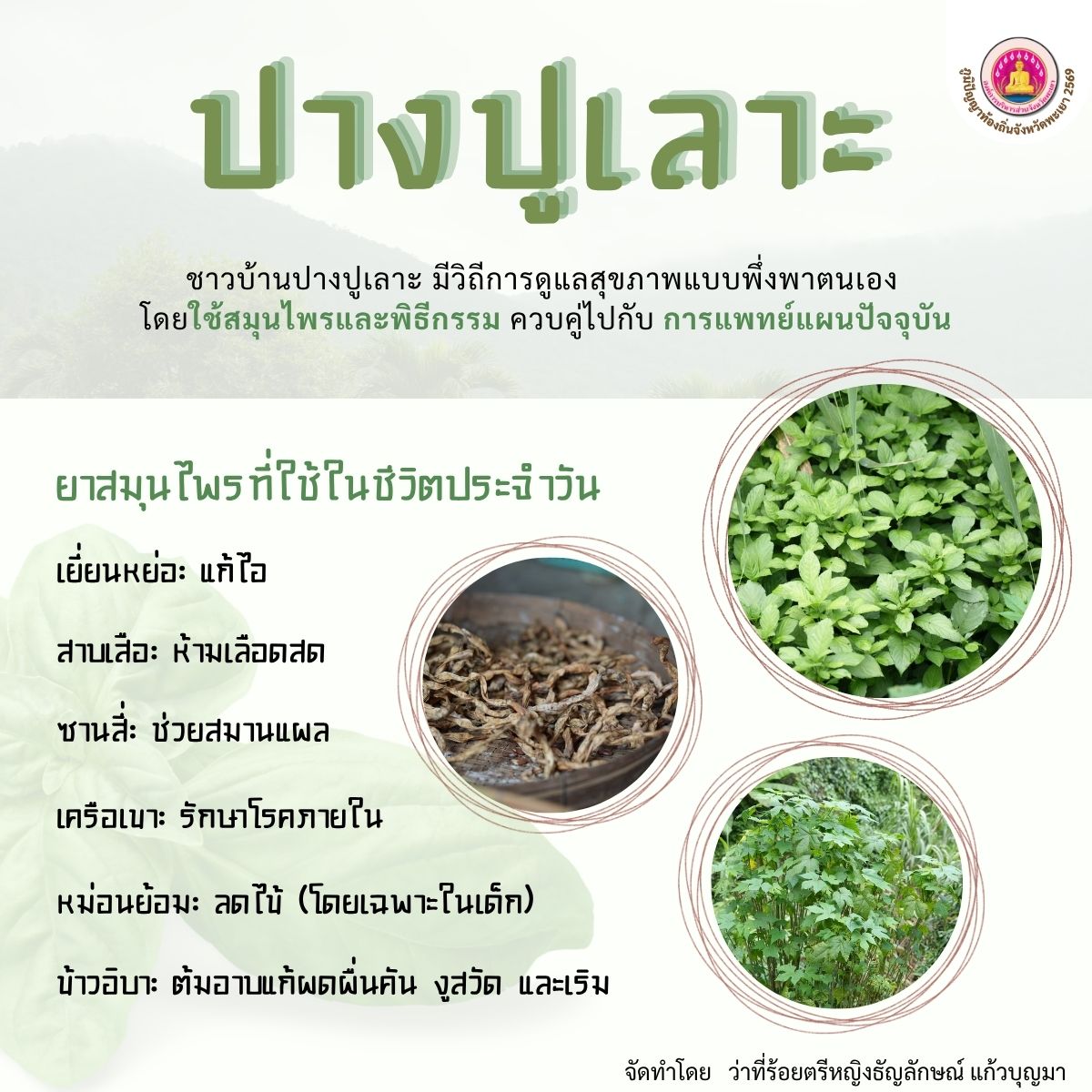 องค์การบริหารส่วนจังหวัดพะเยา ลงพื้นที่บ้านปางปูเลาะ อำเภอแม่ใจ รวบรวมองค์ความรู้ด้านสุขภาพและภูมิปัญญาการรักษา เตรียมต่อยอดสู่ฐานข้อมูลนิทรรศการจังหวัดพะเยา