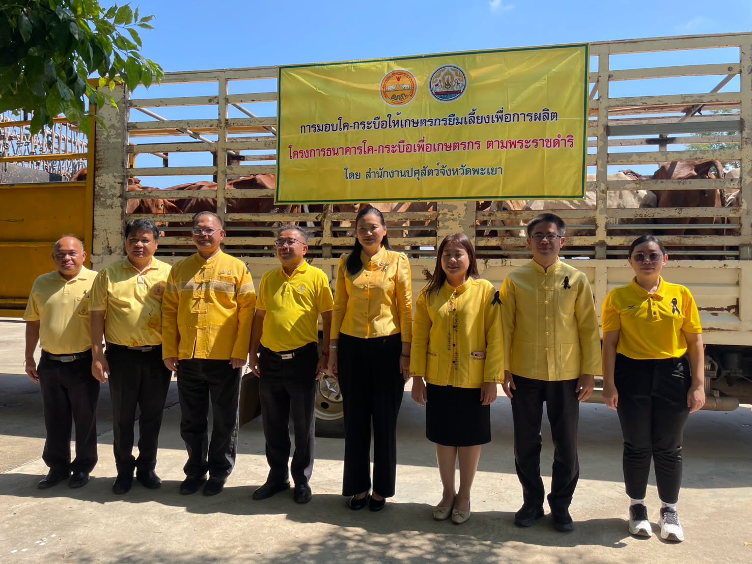 จังหวัดพะเยา มอบโค-กระบือ แก่เกษตรกร จำนวน 60 ตัว ตามโครงการธนาคารโค-กระบือเพื่อเกษตรกร ตามพระราชดำริ เนื่องในโอกาสเตรียมฉลองครบรอบ 50 ปี จังหวัดพะเยา